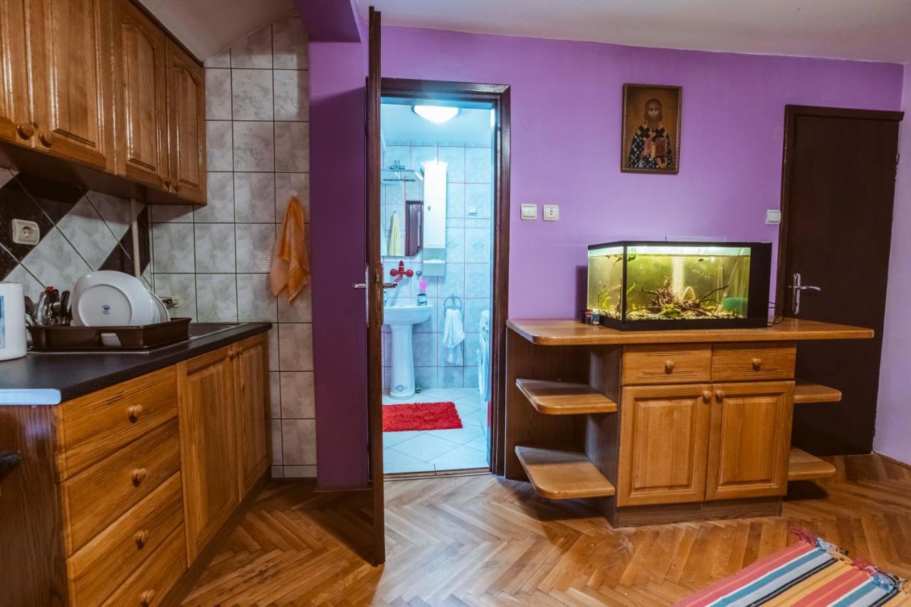 Laufer Hostel Novi Sad Exterior photo
